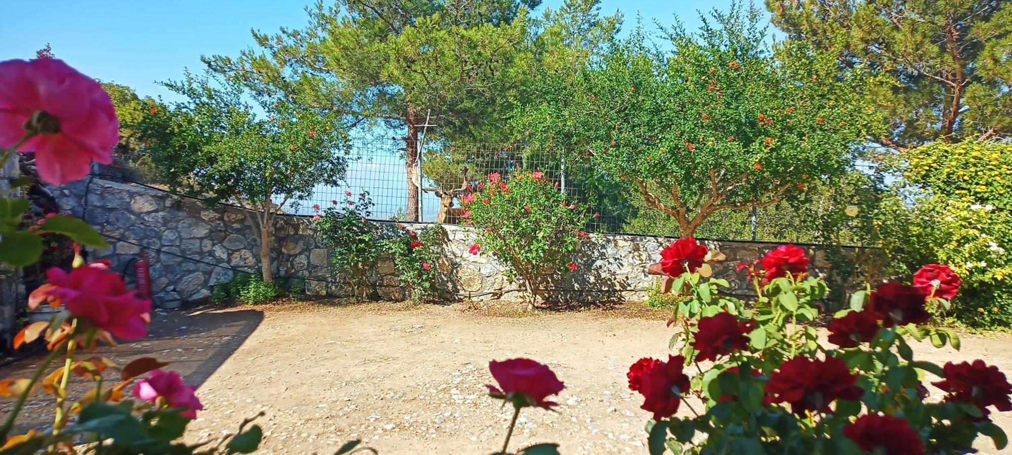 Dora'S House Villa Istrios ภายนอก รูปภาพ