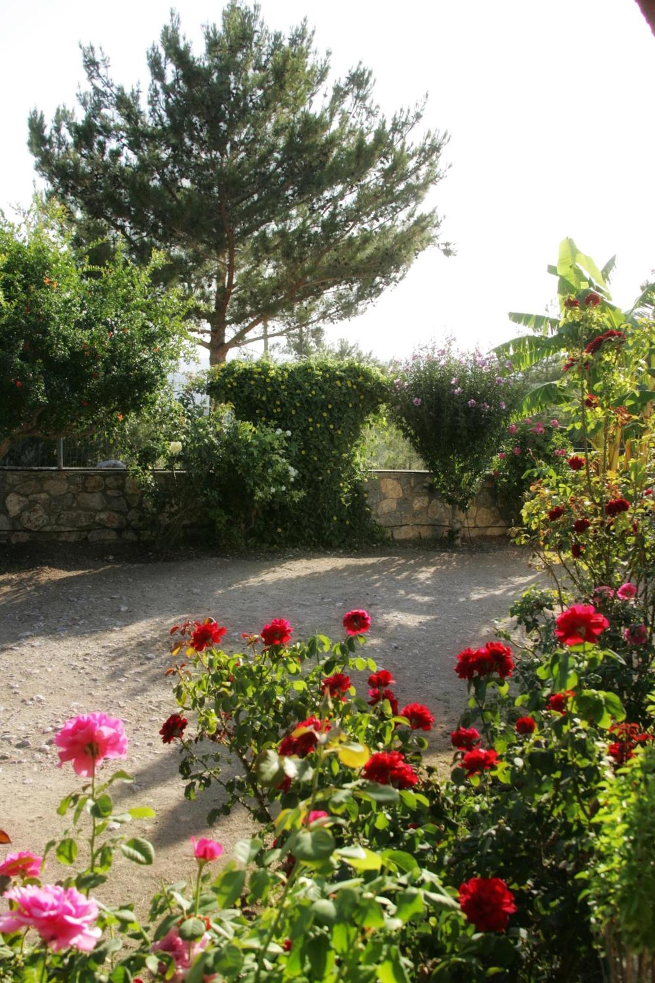 Dora'S House Villa Istrios ภายนอก รูปภาพ